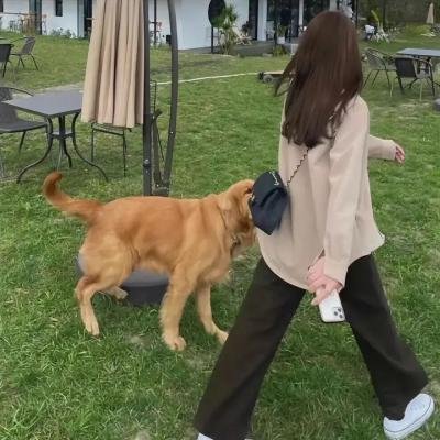 杀狼花